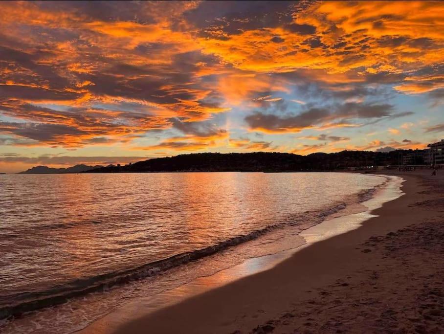 Domaine Juan Flore Antibes Dış mekan fotoğraf